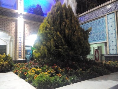 Photos of مجتمع گل و گیاه گلستان نوین