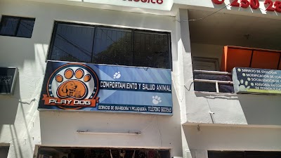 Photos of D1 stores Floresta
