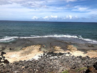 Mokulēʻia Forest Reserve