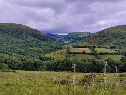 Gilfach Nature Reserve