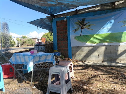 COCOS LOS SEBASTIANES 2