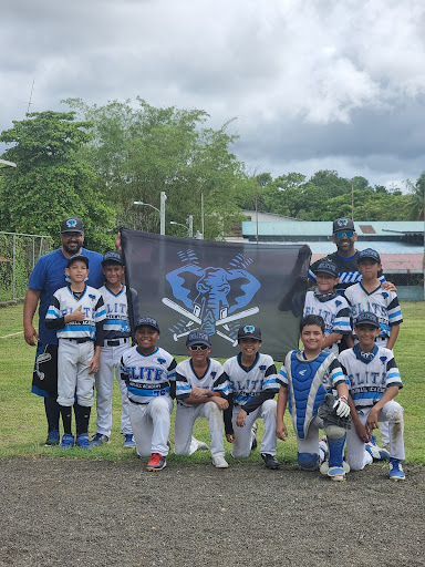 ELITE baseball academy