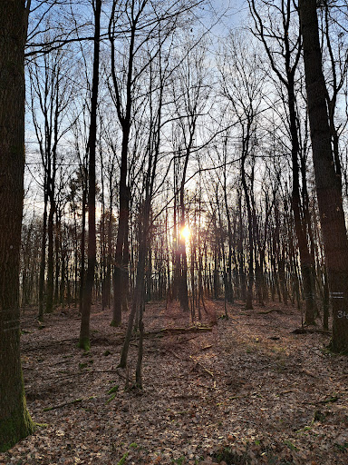 Forsthaus Steinboß
