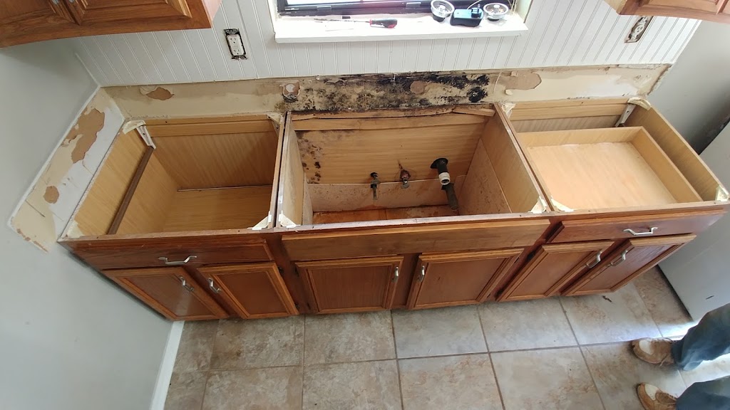 Mold Trust Inc photo