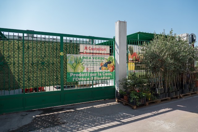Linea Verde Srls