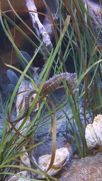 The Adventure Park at Virginia Aquarium