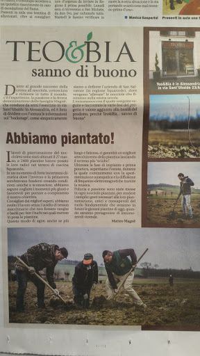 Mb Alimentari - Thumbnail