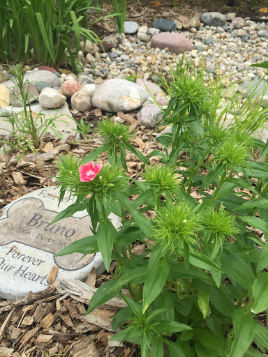 Home Grown Resource Group