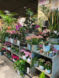 Photo n°18 de Fleurs Renaud Sainte Pazanne à Sainte-Pazanne (Fleuriste)