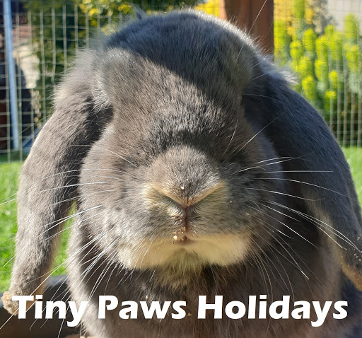 Tiny Paws Holidays - Thumbnail