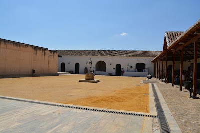 Photos of Museo del Vino