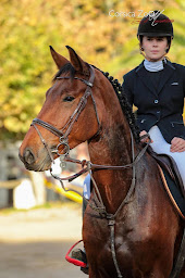 Photo n°11 de Centre équestre de Porticcio - Centru equestru di Purtichju à Grosseto-Prugna (Club d'équitation)