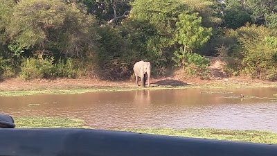 Photos of Yala National Park Katagamuwa Area