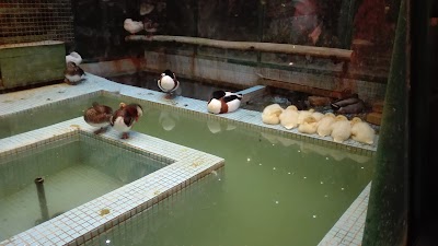 Photos of Dr. Hesabi Museum