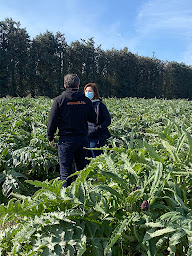 Photo n°10 de marcel&fils BIO à Pierrelatte (Magasin d'alimentation bio)