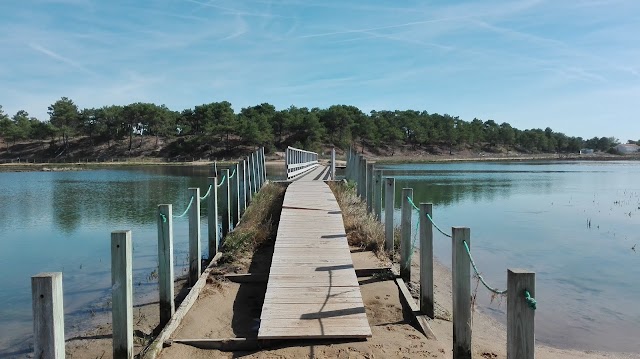 Réserve naturelle nationale de la casse de la Belle-Henriette