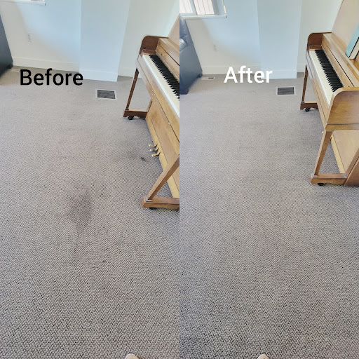 Ever Clean Carpets - Thumbnail