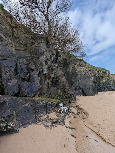 Looe Beach - Visual
