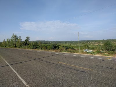 Photos of Kasipi Bar