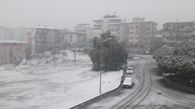 Cemal Süreya Parkı