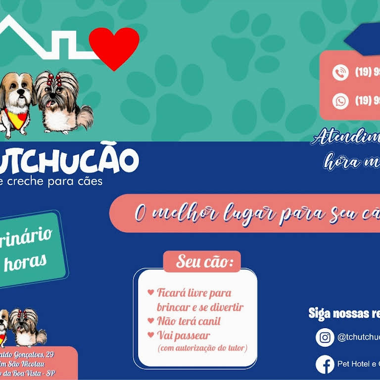 Hotel Creche Cão e Gato (19) 97134-1049, São João da Boa Vista, SP