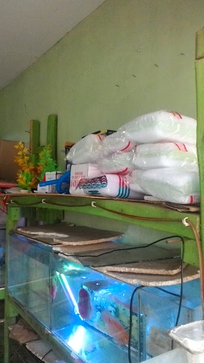 Photos of Dede Aquarium