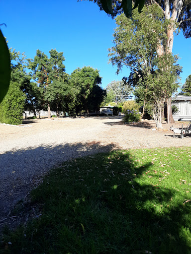 Everton Caravan and Tourist Park - Thumbnail