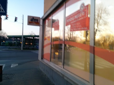 Photos of Dm Kft.