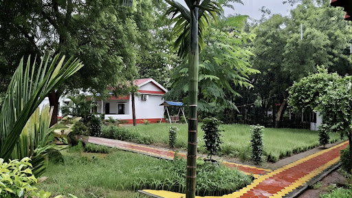 বৃষ্টি ভেজা বনফুলের মনমুগ্ধকর সৌন্দর্য উপভোগ করুন post image