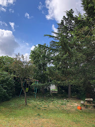 Photo n°17 de Toutain Élagage à Maisons-Laffitte (Service d'élagage)