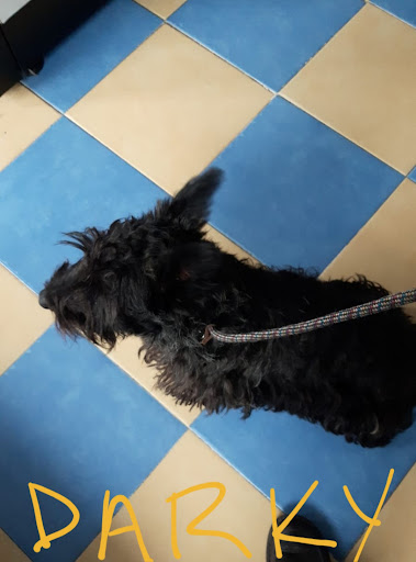 Clínica Veterinaria Amalu-Can - Thumbnail