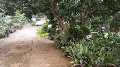 Photos of Lantern Guest House