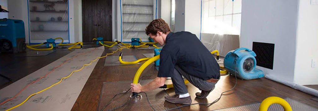 Water Damage Restoration 24H Near you photo