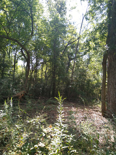 Cottonwood Creek - Dallas County Nature Preserve - Thumbnail