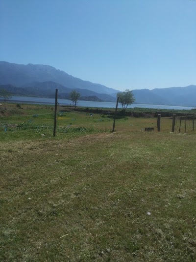 Photos of Camping Los Pinguinos