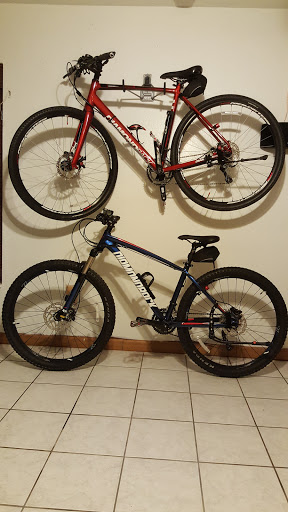 Full Circle Cycle - Visual
