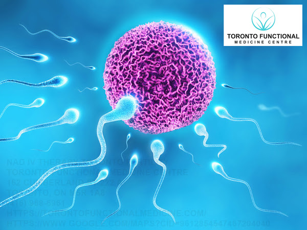 NAD IV therapy for fertility