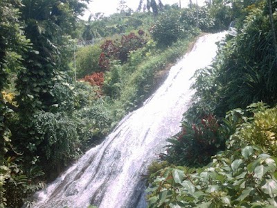 Photos of Shaw Park Gardens