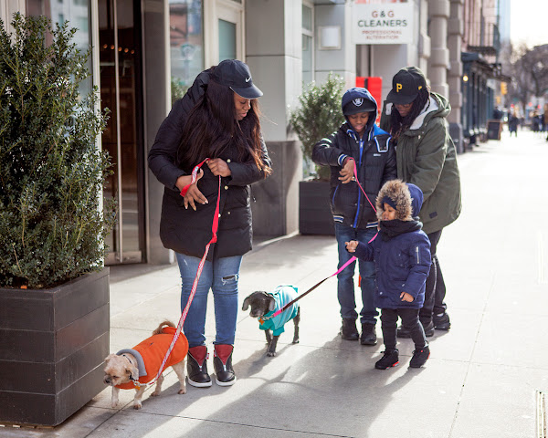 Best Friends Pet Adoption Center by null