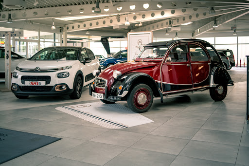 Autohaus BHS Handels-u. Betriebs GmbH - Thumbnail