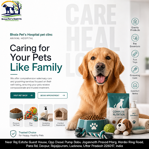 Bhola Pet's Hospital is your trusted pet clinic offering top-quality animal care, grooming, and a… post image