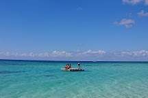 Palancar Reef, Cozumel, Mexico