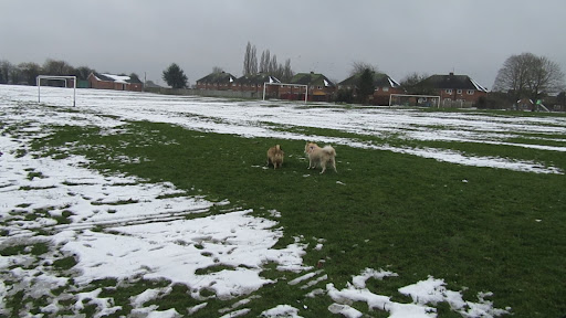 Joeys Lane Recreation Park - Thumbnail
