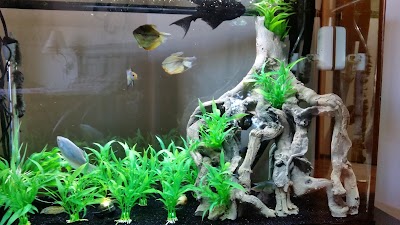 Fishlife Aquariums