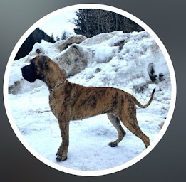 Photo n°3 de Elevage 