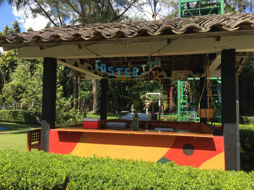 Costerita - Thumbnail