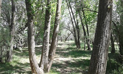 Yahşihan Park Mesire Alanı