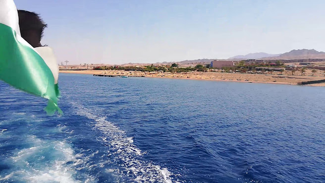 Berenice Beach Club / شاطئ ومنتجع برنيس العقبه by null