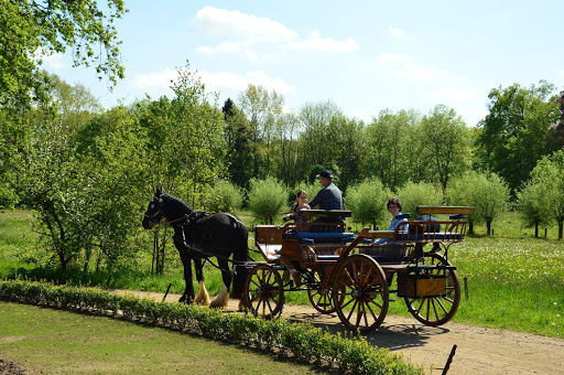 De Klevenhorst