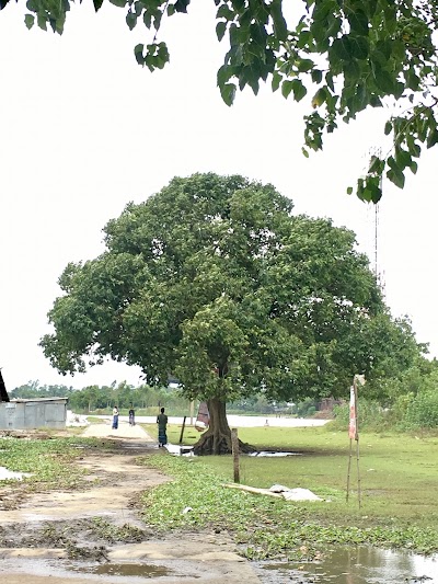 Photos of বটতলী মসজিদ